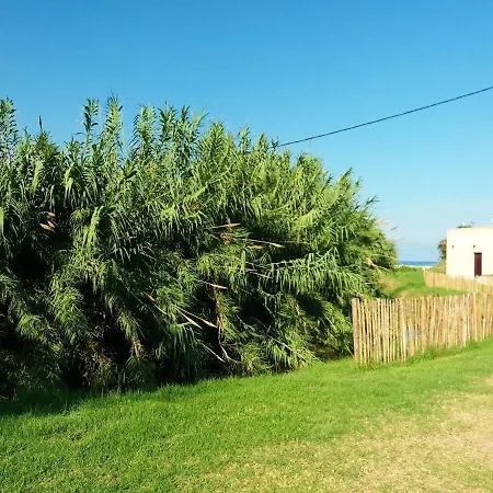 Holiday home Maison Accueillante A Calcatoggio Avec Jardin Cloture. *