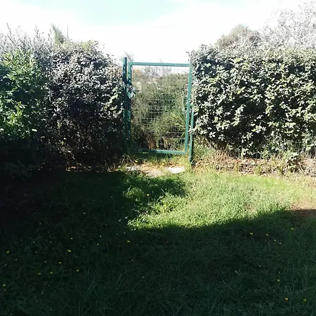 Feriehus Maison Accueillante A Avec Jardin Cloture. Calcatoggio (Corsica)